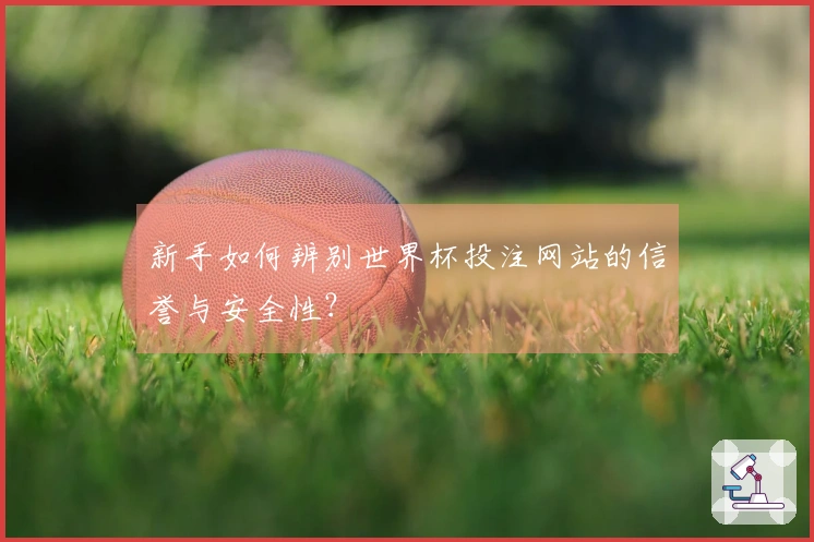 新手如何辨别世界杯投注网站的信誉与安全性？