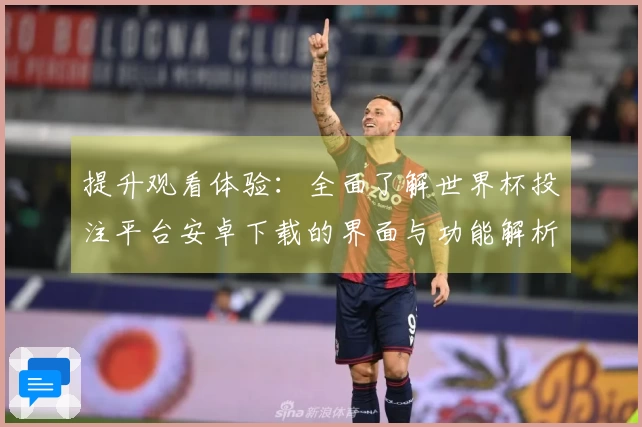 提升观看体验：全面了解世界杯投注平台安卓下载的界面与功能解析
