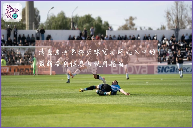请查看世界杯买球官方网站入口的最新福利信息与使用指南。