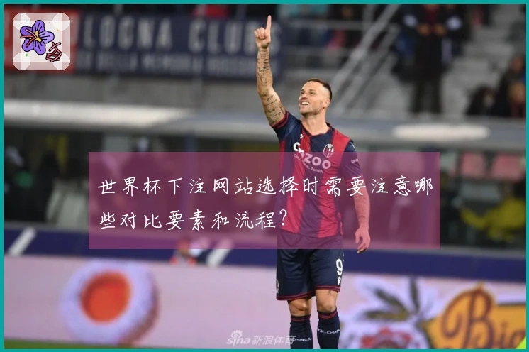 世界杯下注网站选择时需要注意哪些对比要素和流程？