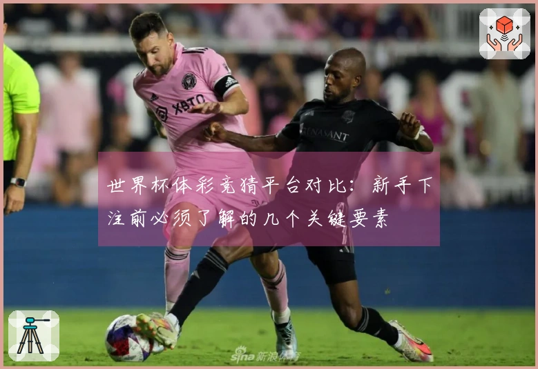 世界杯体彩竞猜平台对比：新手下注前必须了解的几个关键要素