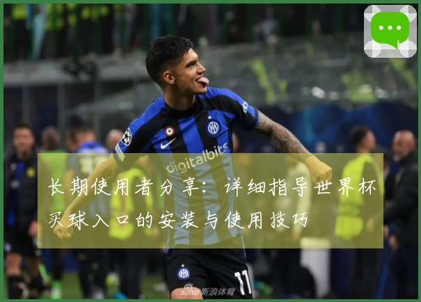 长期使用者分享：详细指导世界杯买球入口的安装与使用技巧