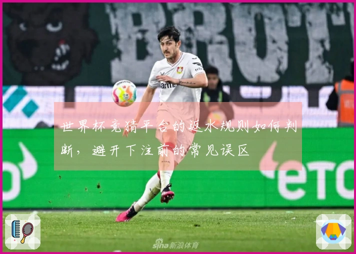 世界杯竞猜平台的返水规则如何判断，避开下注前的常见误区