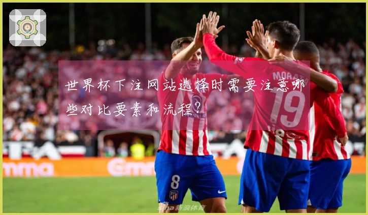 世界杯下注网站选择时需要注意哪些对比要素和流程？