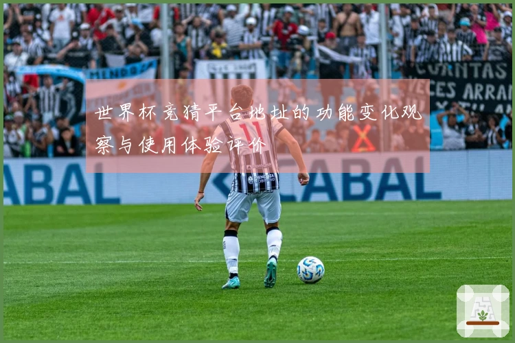 世界杯竞猜平台地址的功能变化观察与使用体验评价