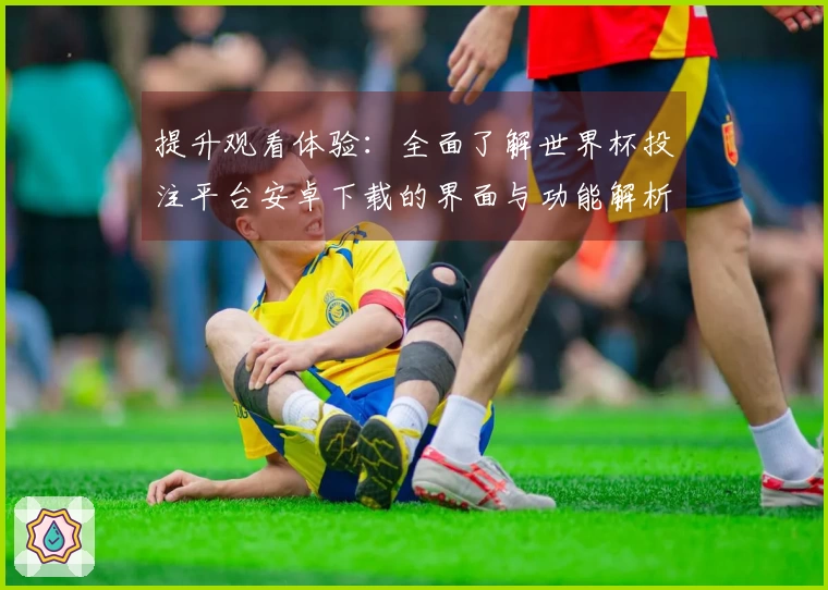 提升观看体验：全面了解世界杯投注平台安卓下载的界面与功能解析