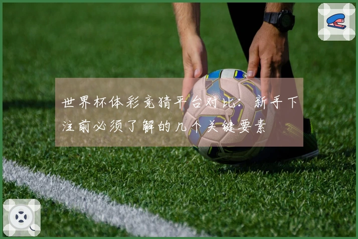 世界杯体彩竞猜平台对比：新手下注前必须了解的几个关键要素