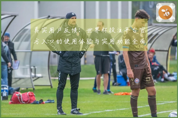 真实用户反馈：世界杯投注平台官方入口的使用体验与实用功能全面测评