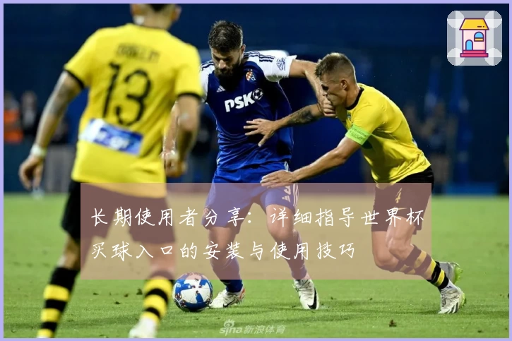 长期使用者分享：详细指导世界杯买球入口的安装与使用技巧
