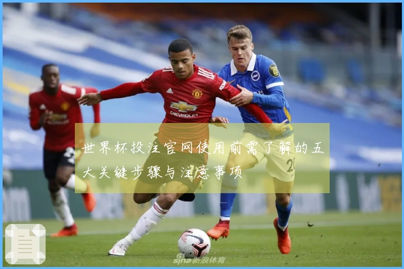 世界杯投注官网使用前需了解的五大关键步骤与注意事项
