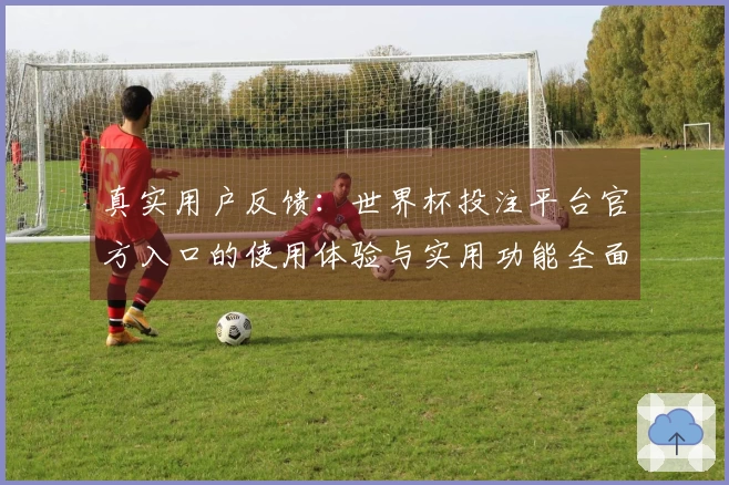 真实用户反馈：世界杯投注平台官方入口的使用体验与实用功能全面测评