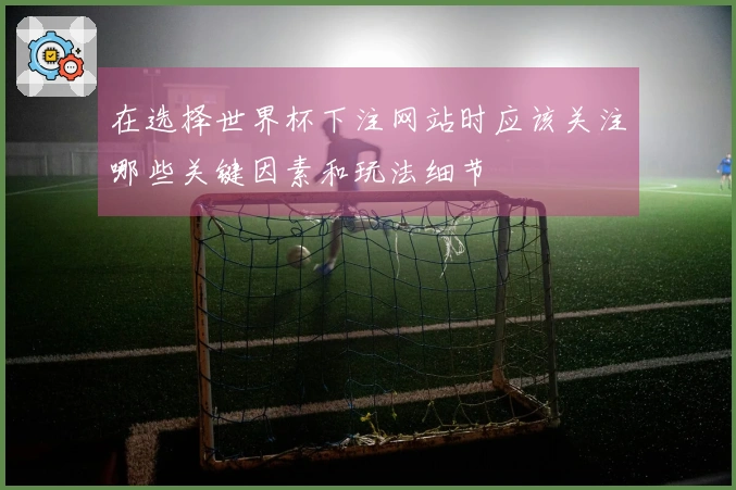 在选择世界杯下注网站时应该关注哪些关键因素和玩法细节